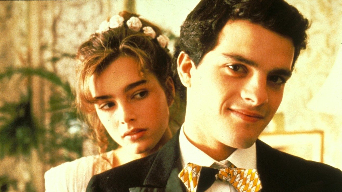Endless Love รีวิวหนัง